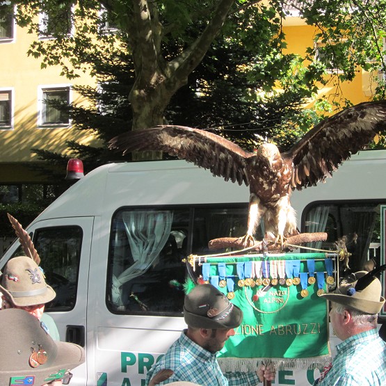 ADUNATA NAZIONALE ALPINI BERGAMO